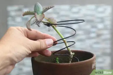 Image titled Create a Vintage Bedspring Vase Step 8