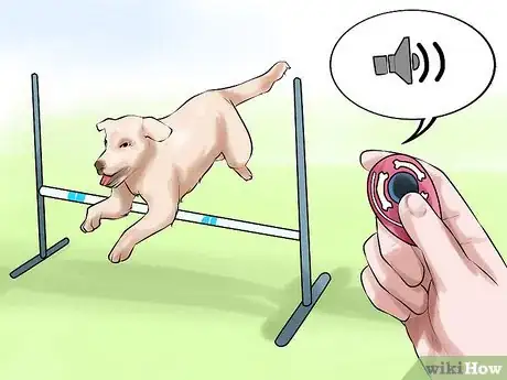 Image titled Get Your Dog to Jump Poles Step 12