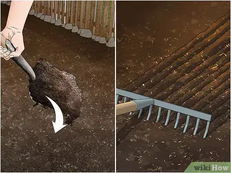 Image titled Grow Napa Cabbage Step 4