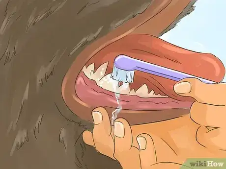 Image titled Help Your Dog Live Longer Step 17