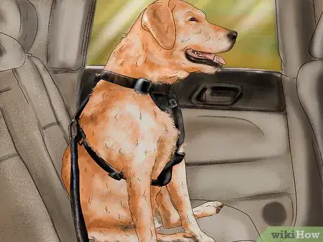 Image titled Keep Your Dog Safe in Extreme Weather Step 7