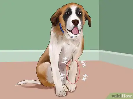 Image titled Watch a Dog for Stiff or Limp Movements Step 4