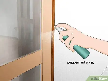 Image titled Get Rid of Spiders Outside Your Door Step 11