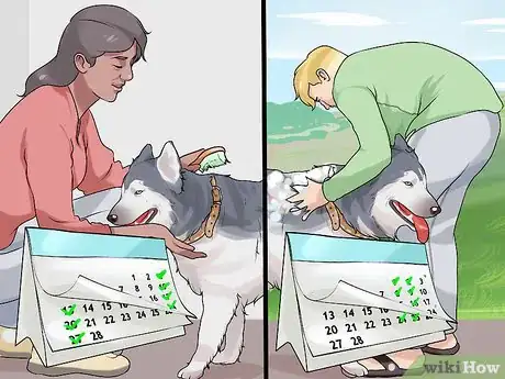 Image titled Choose a Dog Together As a Married Couple Step 12