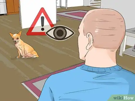 Image titled Promote Safe Whelping for Short Legged Dog Breeds Step 4