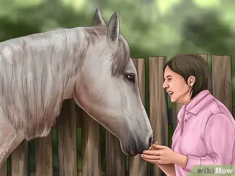 Image titled Teach Your Horse to Piaffe Step 8