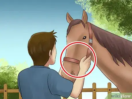 Image titled Catch a Horse Step 10