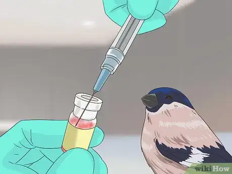 Image titled Treat Avian Pox in Finches Step 11