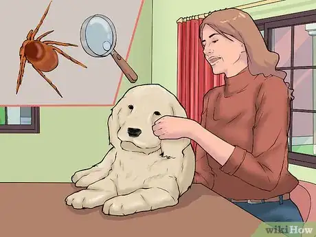 Image titled Reduce Your Lyme Disease Risk Step 7