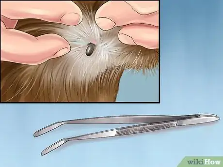 Image titled Keep Ticks from Your Dogs Step 13