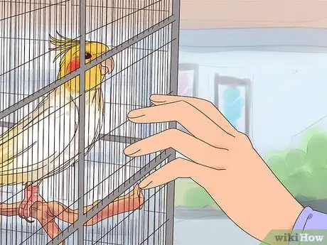 Image titled Train Cockatiels Step 6