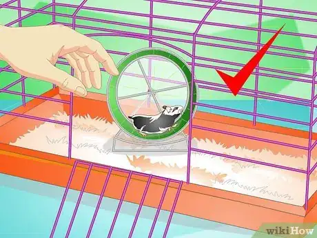 Image titled Keep a Hamster Healthy Step 4