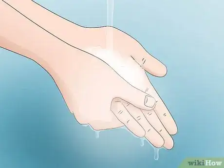 Image titled Care for a Chilean Rose Tarantula Step 16