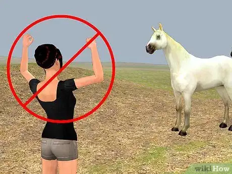 Image titled Easily Catch Your Horse Step 2