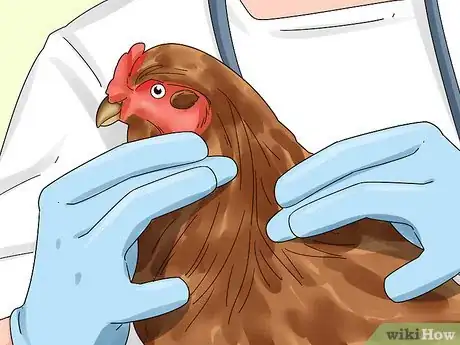 Image titled Rehome Your Chickens Step 2