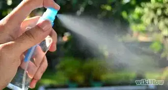 Make Soapy Water Garden Spray