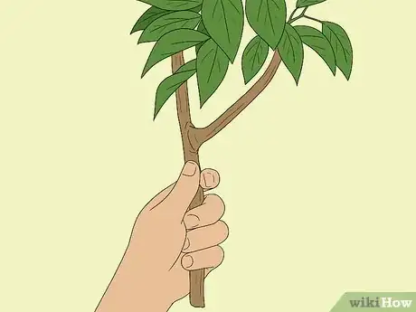 Image titled Create an 18th Century Makerspace Step 10