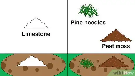 Image titled Plant Zinnias Step 4