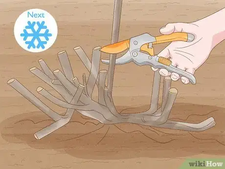 Image titled Trim an Overgrown Lilac Bush Step 10