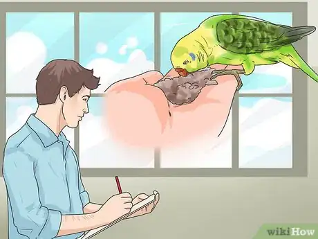 Image titled Recognize Stress in Your Pet Parrot Step 11
