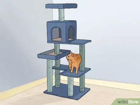 Image titled Care for an American Bobtail Cat Step 7