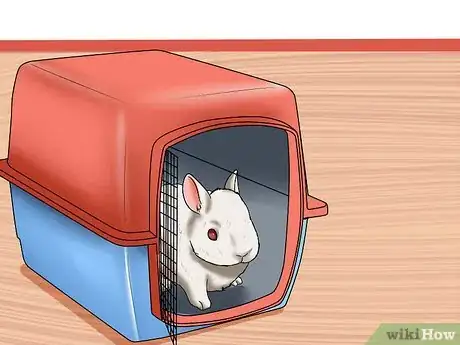 Image titled Win a Rabbit's Trust Step 4