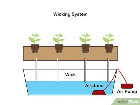Image titled Grow Hydroponic Strawberries Step 1