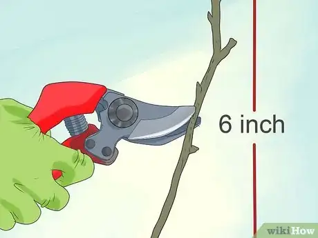 Image titled Prune Drift Roses Step 5