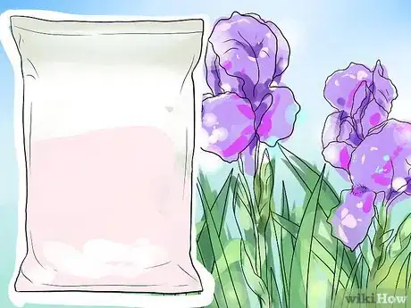 Image titled Get Irises to Bloom Step 12