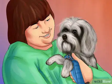 Image titled Identify an Affenpinscher Step 10