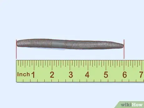 Image titled Fish Senko Step 2