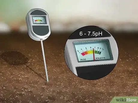 Image titled Grow Napa Cabbage Step 3