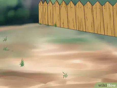 Image titled Grow a Choko Vine Step 3