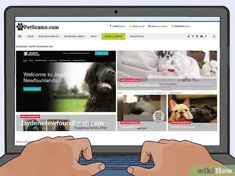 Image titled Avoid Puppy Scams Step 4