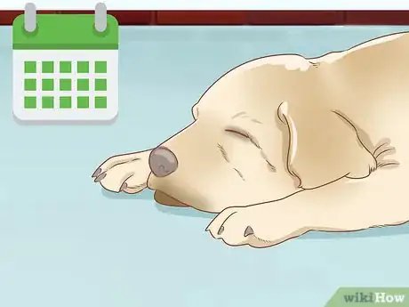 Image titled Treat Frostbite in Dogs Step 17