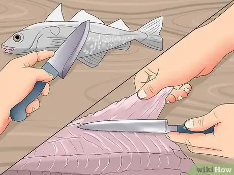 Image titled Preserve Fish Step 1