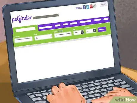 Image titled Adopt a Schnauzer Step 5