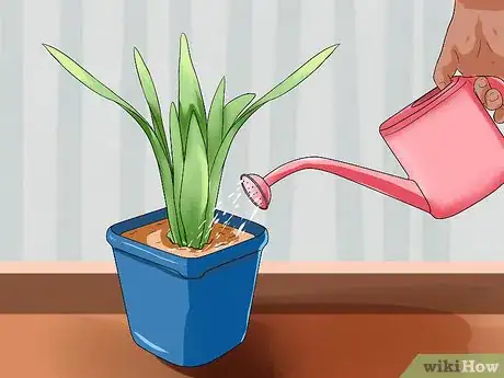 Image titled Water Plants While You're Away Step 1