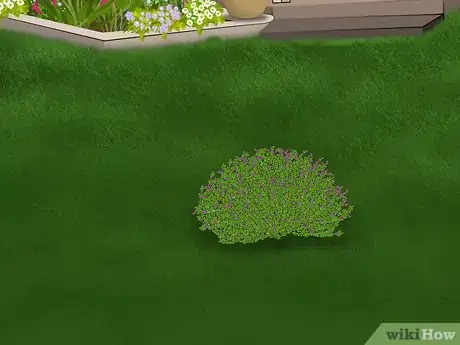 Image titled Plant a Sweet Shrub Step 6Bullet2