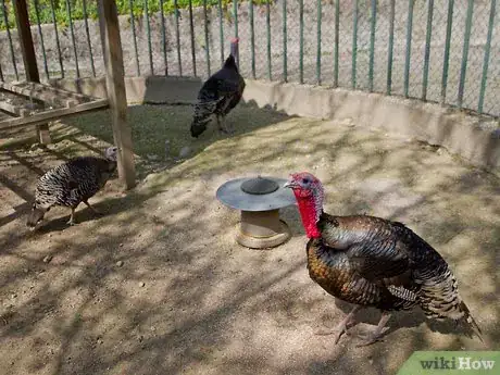 Image titled Save Animals by Participating in Indian Wildlife Conservation Projects Step 7