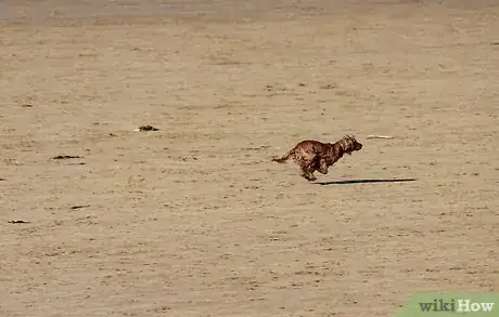 Image titled Become a Happy Positive Person and Ignore the Haters Step 7