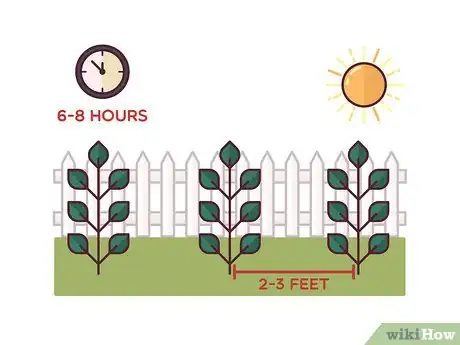 Image titled Stake Tomato Plants Step 1