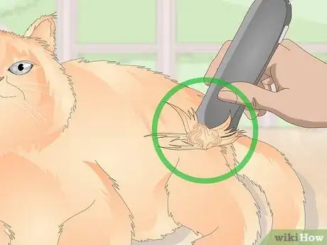 Image titled Keep Your Cat Clean Step 5