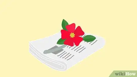 Image titled Grow Adeniums Step 8