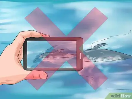 Image titled Care for a Beached Animal Step 5