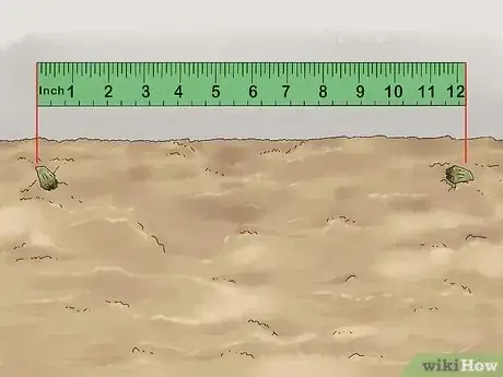 Image titled Grow Agrimony Step 8