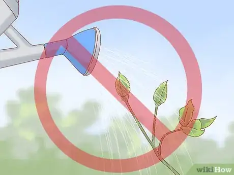 Image titled Plant a Climbing Rose Step 12