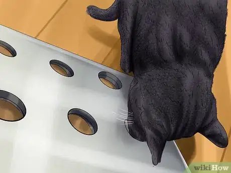 Image titled Care for a Korat Step 13