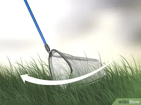 Image titled Take Care of a Ladybug Step 3