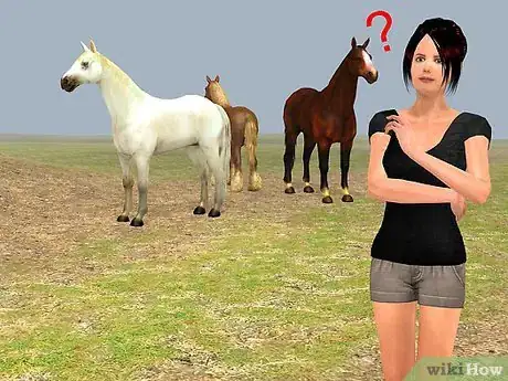 Image titled Easily Catch Your Horse Step 1